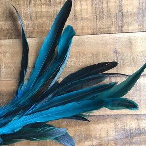 COQUE TAIL FEATHERS Loose / Iridescent, peacock blue / 817 image 4