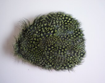 FEATHER PADS Plume de Guinée, Vert Olive / 47