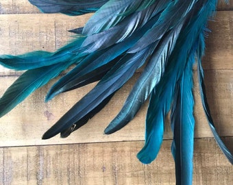 COQUE TAIL FEATHERS Loose / Iridescent, peacock blue / 817