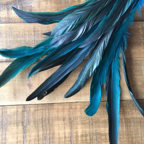 COQUE TAIL FEATHERS Loose / Iridescent, peacock blue / 817