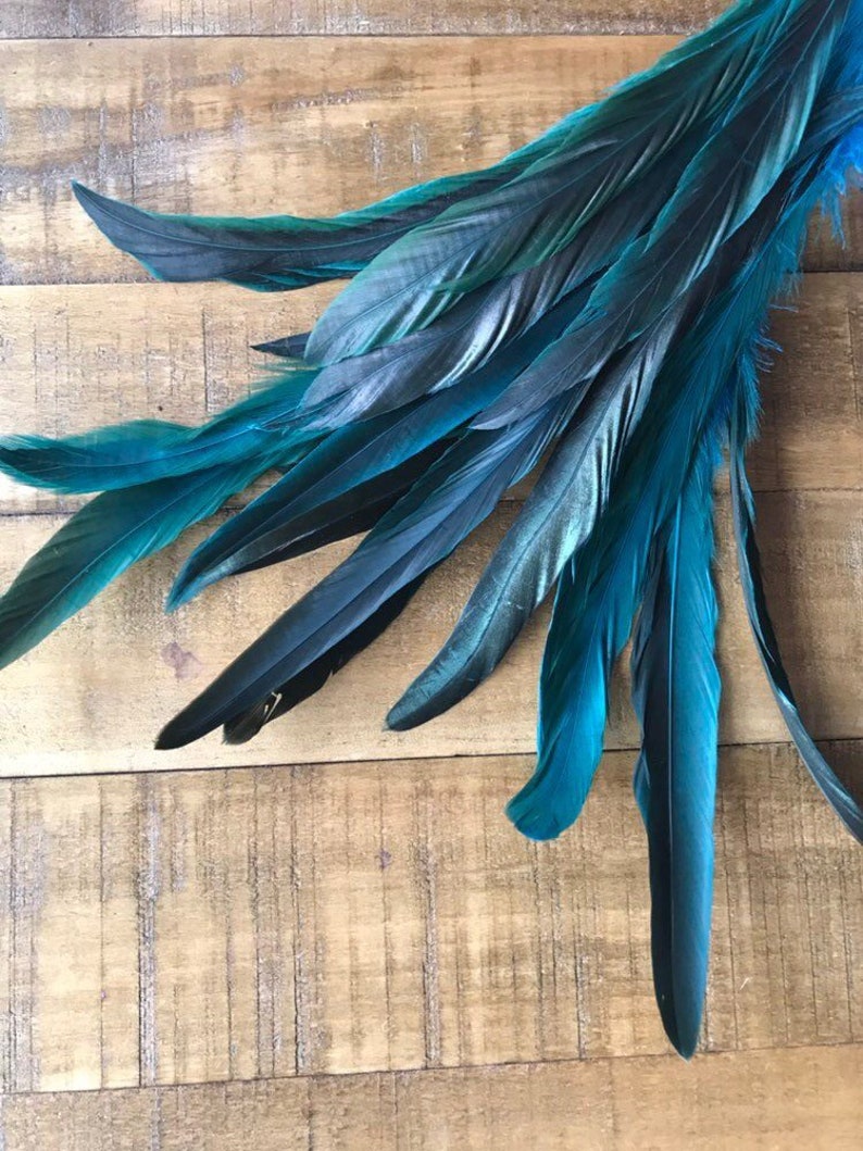 COQUE TAIL FEATHERS Loose / Iridescent, peacock blue / 817 image 1