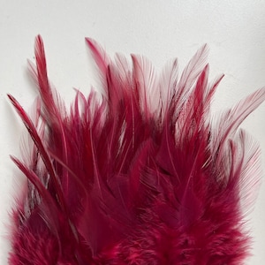 VIVACE  SADDLE, Wine red, merlot burgundy  , V - 48