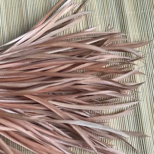 GOOSE BIOT FEATHERS, Tan, Blush / 741