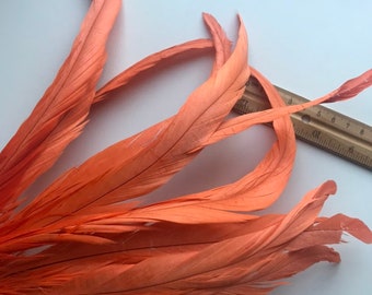 COQUE TAIL Feathers loose  / Bright Carrot Orange /  205