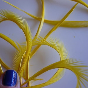 GOOSE BIOT FEATHERS / Canary Yellow / 727 image 4