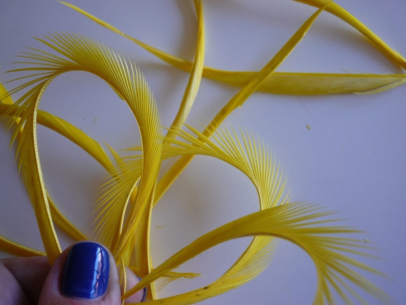 GOOSE BIOT FEATHERS / Canary Yellow / 727 image 4
