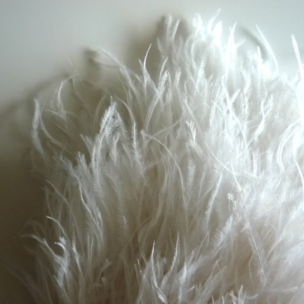 VOGUE OSTRICH Feather Fringe 2 ply , Pearl White, Off white  / 387