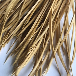 GOOSE BIOT FEATHERS, Gold, Mustard yellow / 805