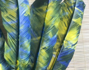 TURKEY QUILL, Ombré  Yellow and Blue , 4 pieces / Q - 22