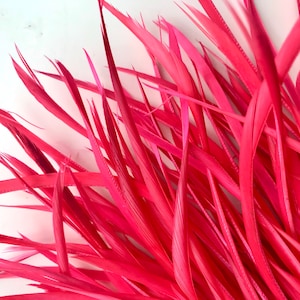 GOOSE BIOT FEATHERS / Lipstick Pink  / 767