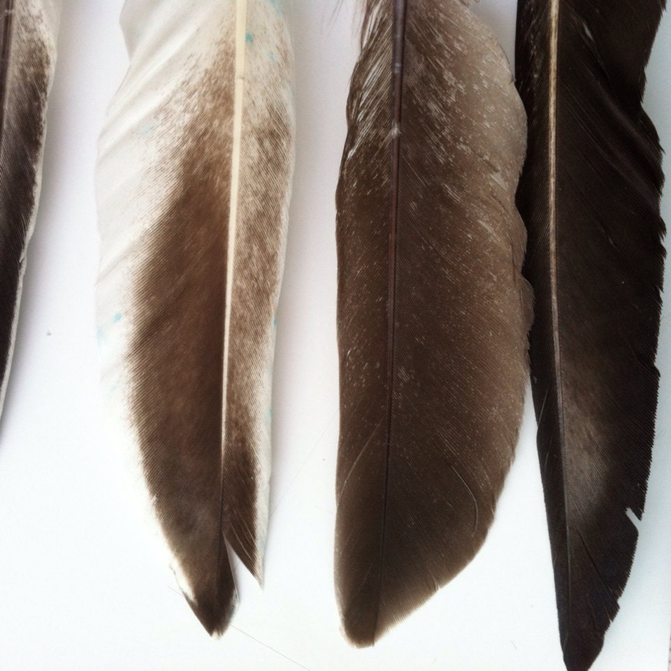 LOOSE DUCK Feathers / 12 Pieces / Very Rare / 925 Etsy
