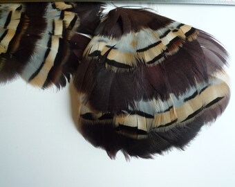 FEATHER PAD Partridge Feather Pad Exclusive Quality / 85