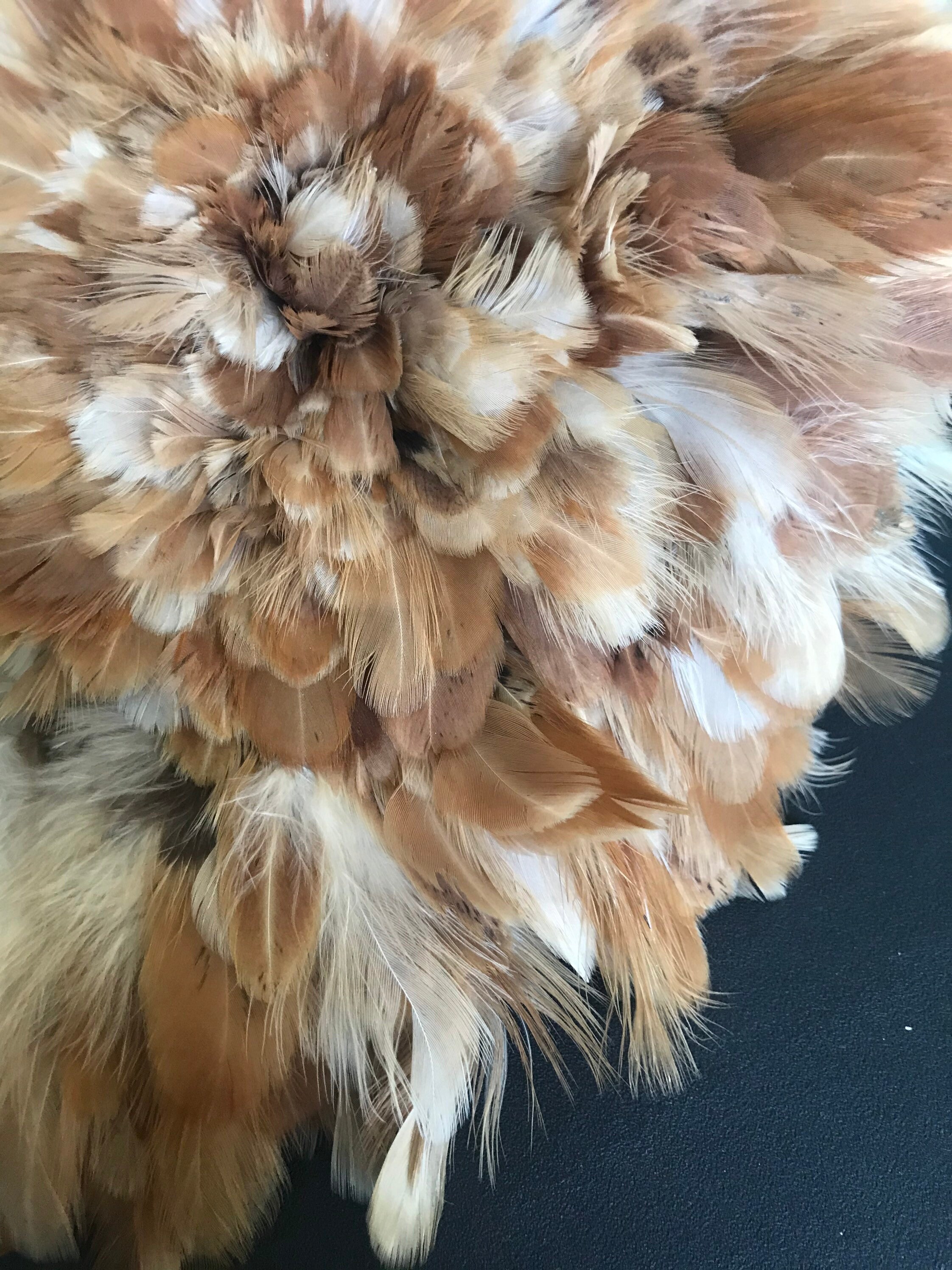 VOGUE Coque Feather Tan Pheasant Hackle tmp C VOGUE Coque Feather Tan Pheasant Hackle tmp C