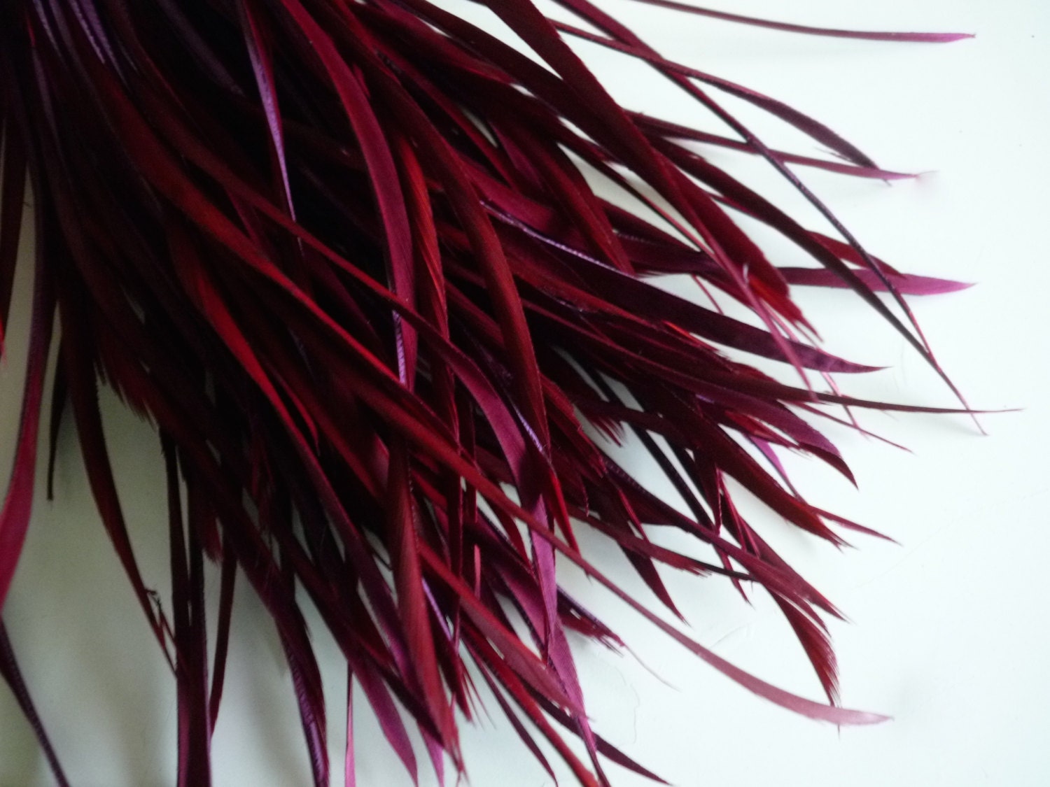 GOOSE BIOT FEATHERS, Black Berry , Wine Red, Merlot,  Burgundy / 757