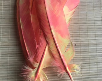 TURKEY QUILL, Ombre Peach and yellow , 4 pieces / Q- 23