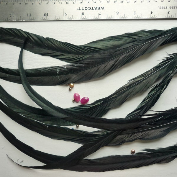 Black Iridescent Feathers Etsy