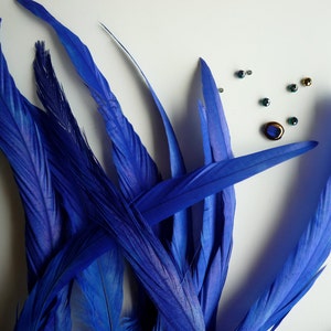 COQUE Tail Feathers  Loose / True Cobalt Blue  /  202