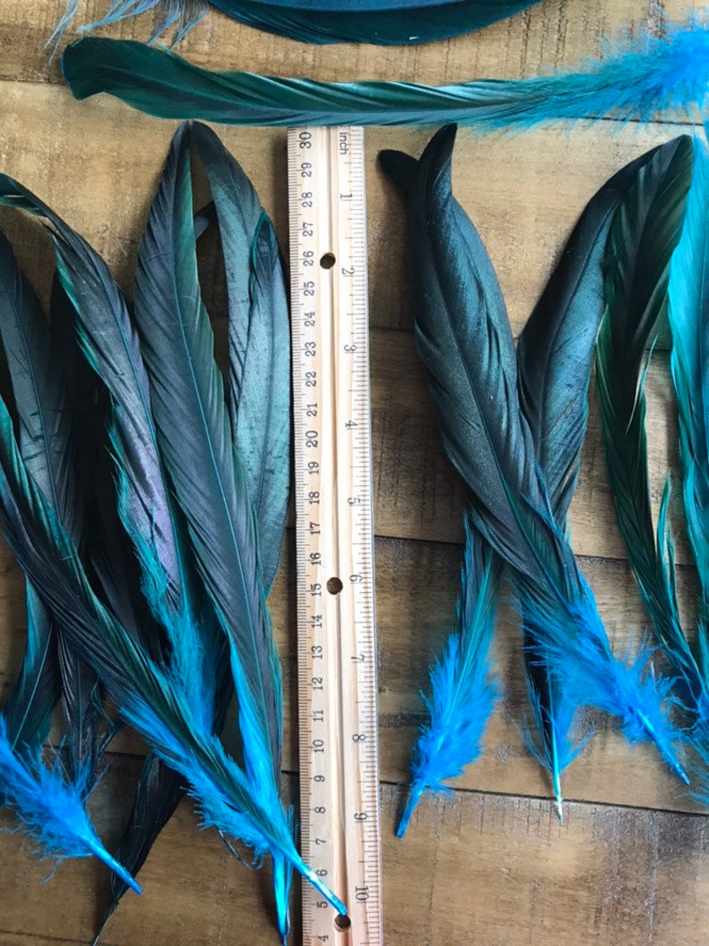 COQUE TAIL FEATHERS Loose / Iridescent, peacock blue / 817 image 2