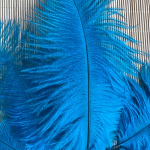 OSTRICH PLUMES , 3 pieces, Turquoise Blue / OP-42
