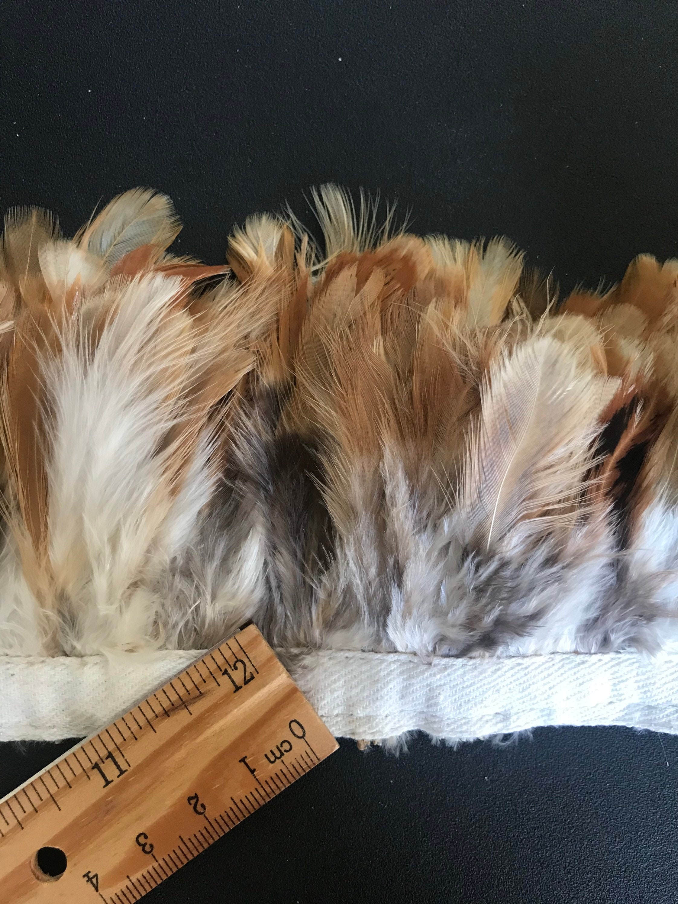 VOGUE Coque Feather Tan Pheasant Hackle tmp C VOGUE Coque Feather Tan Pheasant Hackle tmp C