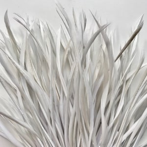 Puede incluir: Un manojo de plumas blancas con un ligero brillo. Las plumas son largas y estrechas, y están dispuestas en forma de abanico.