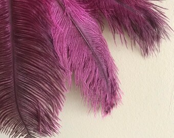 OSTRICH PLUMES , 3 pieces, Dark hot pink, ombré  / OP-39