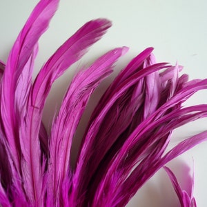 PLUMES COQUE COQUE Loose/Rose magenta poussiéreux / 821 image 3