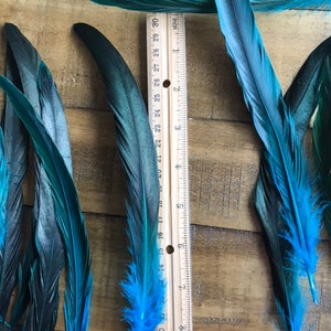 COQUE TAIL FEATHERS Loose / Iridescent, peacock blue / 817 image 6