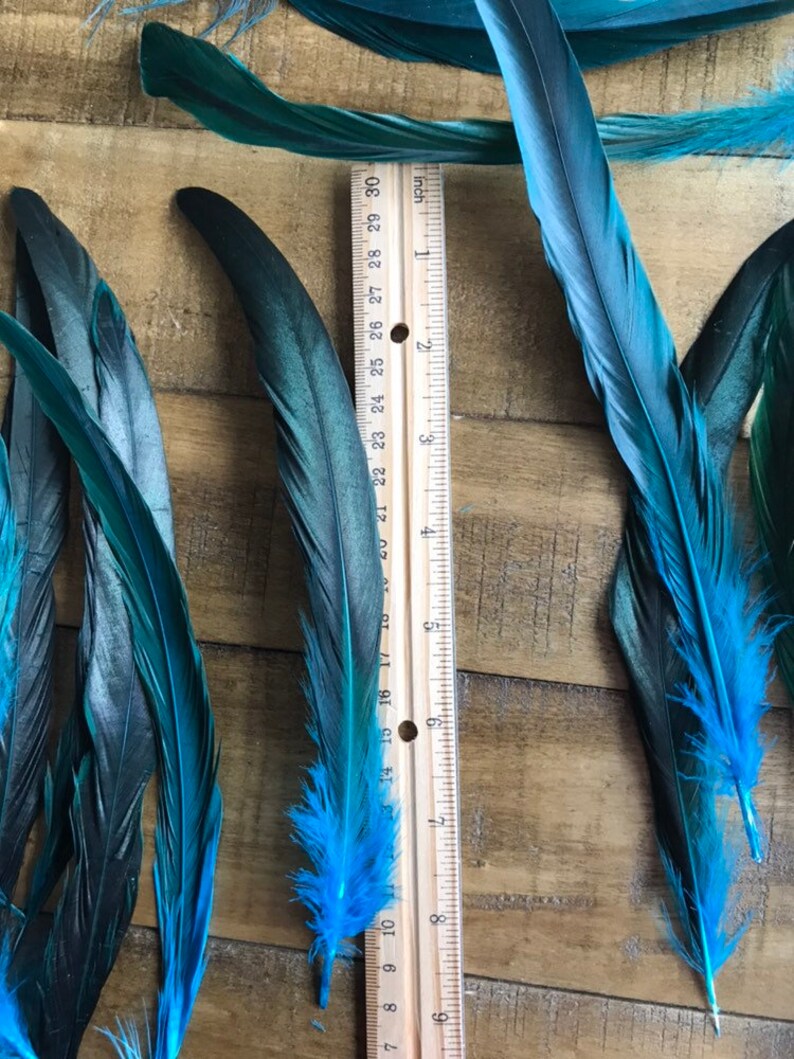 COQUE TAIL FEATHERS Loose / Iridescent, peacock blue / 817 image 6