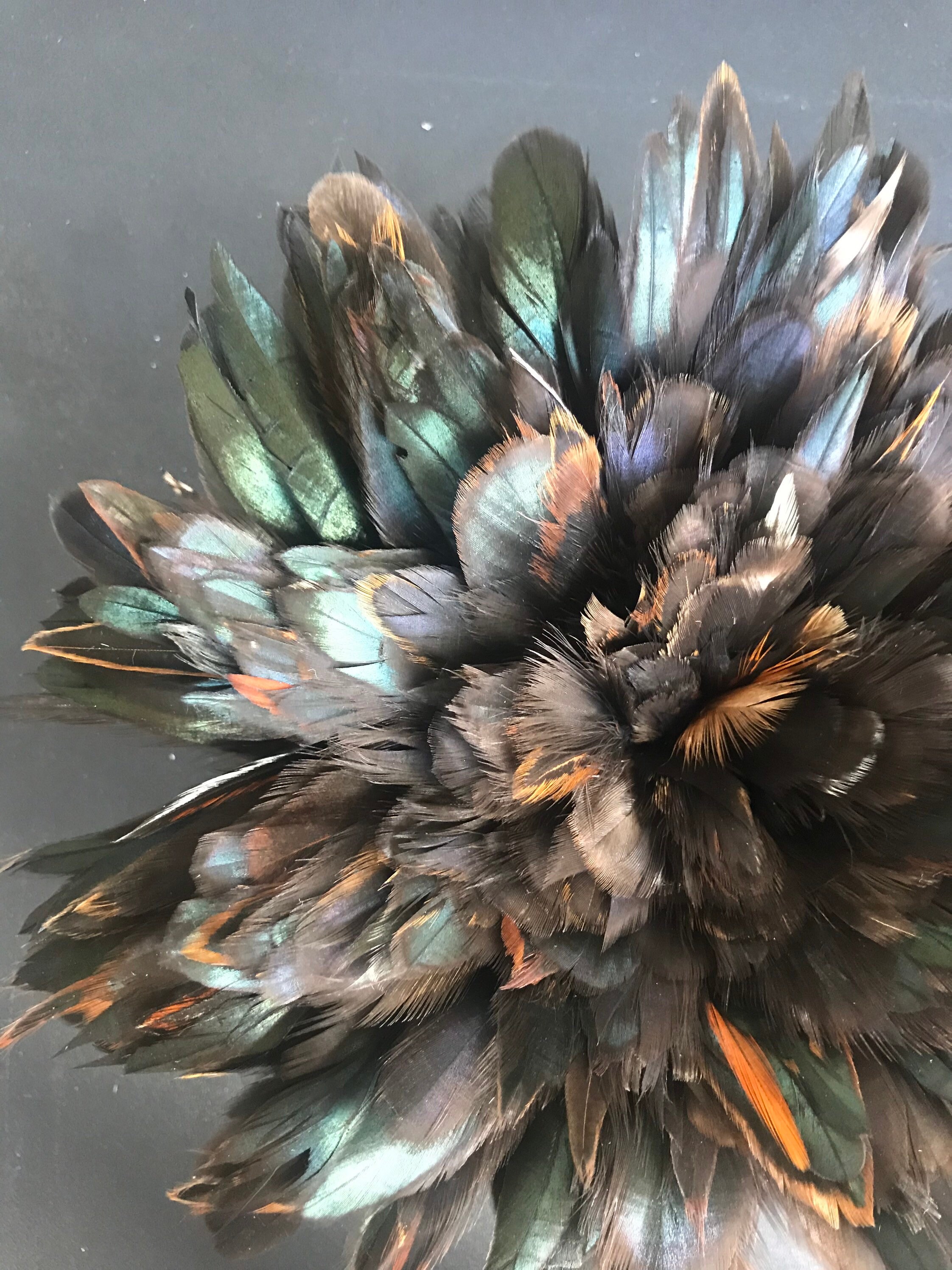 VOGUE Coque Feather Tan Pheasant Hackle tmp C VOGUE Coque Feather Tan Pheasant Hackle tmp C
