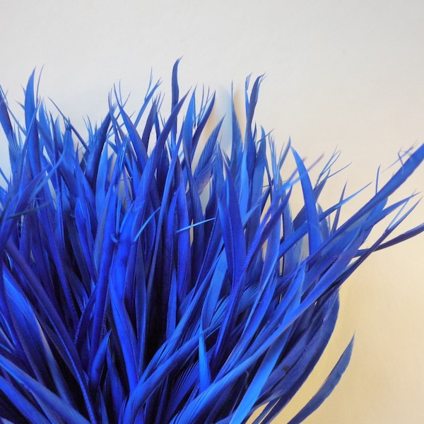 GOOSE BIOT FEATHERS, Cobalt, Chagall Blue  /  705