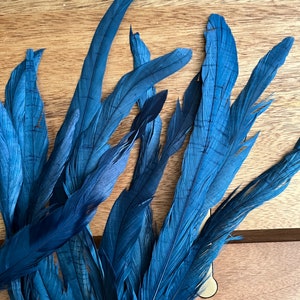 COQUE TAIL FEATHERS Loose / peacock blue / 219