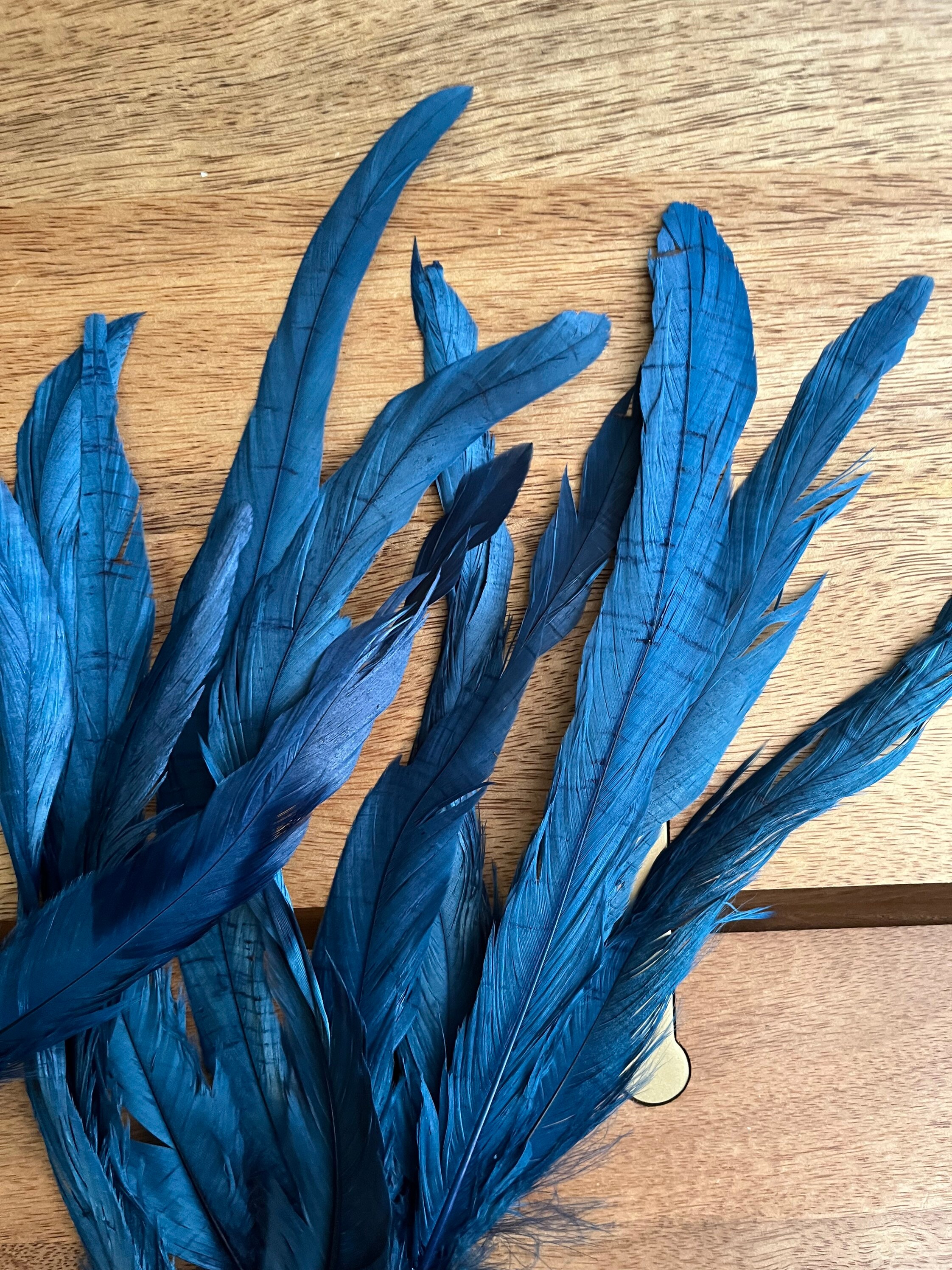 Feathers, Pheasant Feathers, Guinea Feathers, 6-12 Assortment of