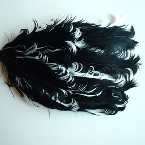 FEATHER PAD / Curled Nagoire , Black and White / 117 image 1