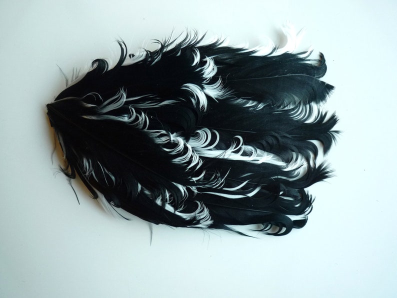 FEATHER PAD / Curled Nagoire , Black and White / 117 image 1