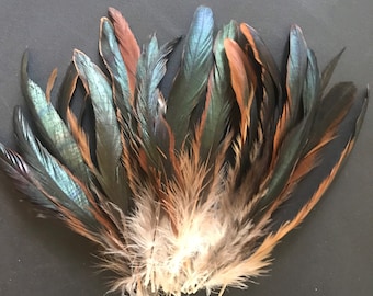 Coque Tail Feathers   Loose / Bronze Tail, natural /  204