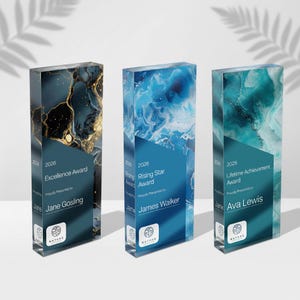 May include: Three rectangular awards with abstract designs. The awards have a blue and gold, blue, and teal color scheme. Each award has text that reads "Excellence Award", "Rising Star Award", and "Lifetime Achievement Award".