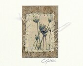 Mixed Media ACEO Indigo Prairie Song -Blue Flower Cottage Decor Queen Anne's Lace