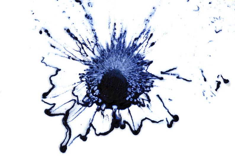 Navy Blue Flower Wall Art Floral Home Decor Original Etsy