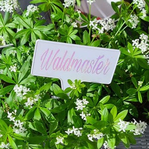 Puede incluir: Una etiqueta de planta blanca con el texto "Waldmaster" en letras rosas, rodeada de una planta verde exuberante con pequeñas flores blancas.