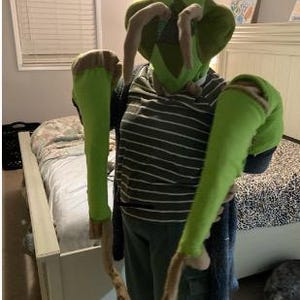 May include: A person wearing a green insect costume with long, green arms and a matching headpiece. The costume has brown accents and is worn over a striped shirt and pants. The text "not for sale" is visible.