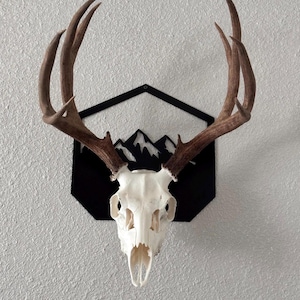 Custom Metal Euro Mount Plaque