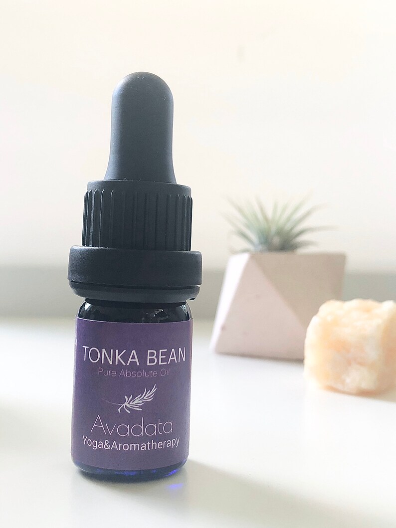 Tonka Bean Absolute Essential Oil Etsy