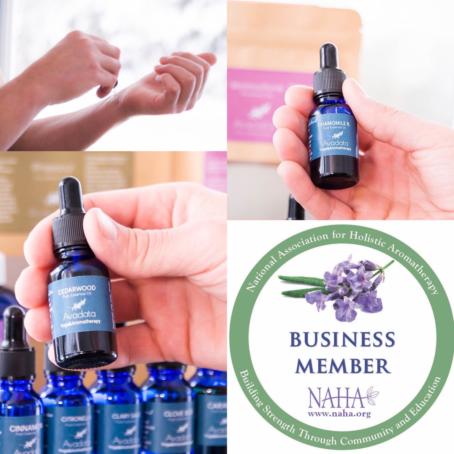 Essential Oil Beginners Aromatherapy Set Choose 6 Oils Etsy