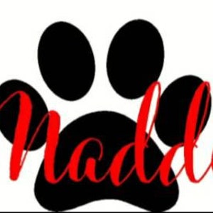 Personalized Dog Name with Paw Car Decal / Heart Decal / Pet Adoption Decal Gift /
