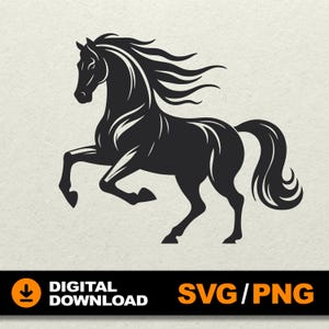 Horse SVG, Horse Lover SVG, Horse Clipart, Horse Head svg, Horse bundle svg, File for laser cut, cricut, silhouette, glowforge, cdr, dxf png