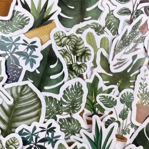 50 stickers pour plantes