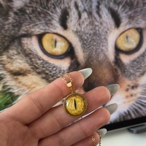 CUSTOM pet EYE PENDANT original painting of iris from your photo pet portrait jewelry sterling silver
