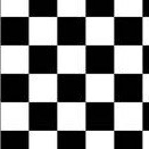 Throw Pillow Cover Cotton Nascar Checkered Flag Black & White Fabric We Only Have 1 Checks Now image 2
