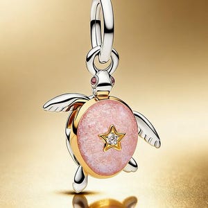 May include: A silver and gold-tone turtle charm with a pink center and a gold star. The charm has a silver loop for attaching to a bracelet or necklace. The turtle's head has two small pink gems.